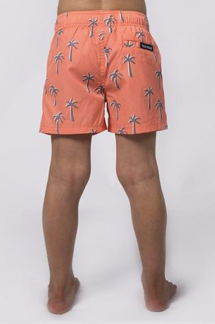 Beau Hudson Kid's Orange Palm Swim Shorts